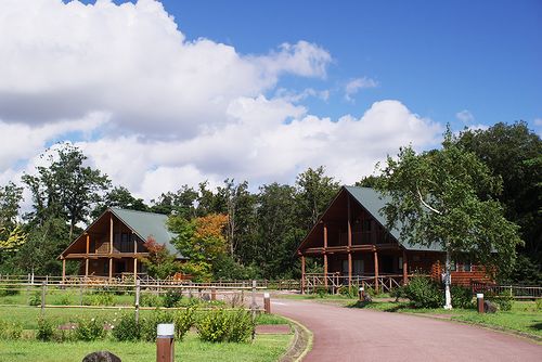 a0034438_10551168.jpg