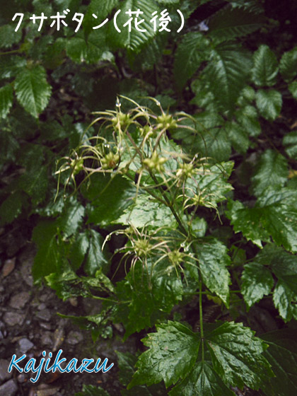 a0166940_21274330.jpg