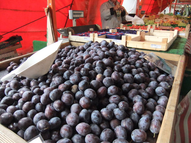 f0210340_3595415.jpg