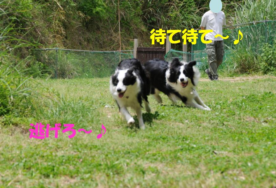 c0147241_20203820.jpg