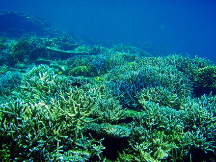 f0014842_17532568.jpg