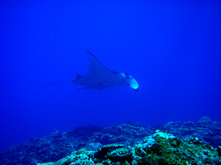f0014842_1842689.jpg