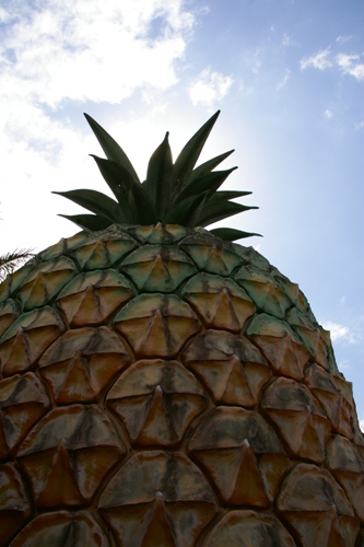 c0134543_7481359.jpg