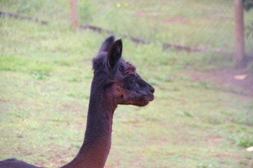 c0134543_81736100.jpg