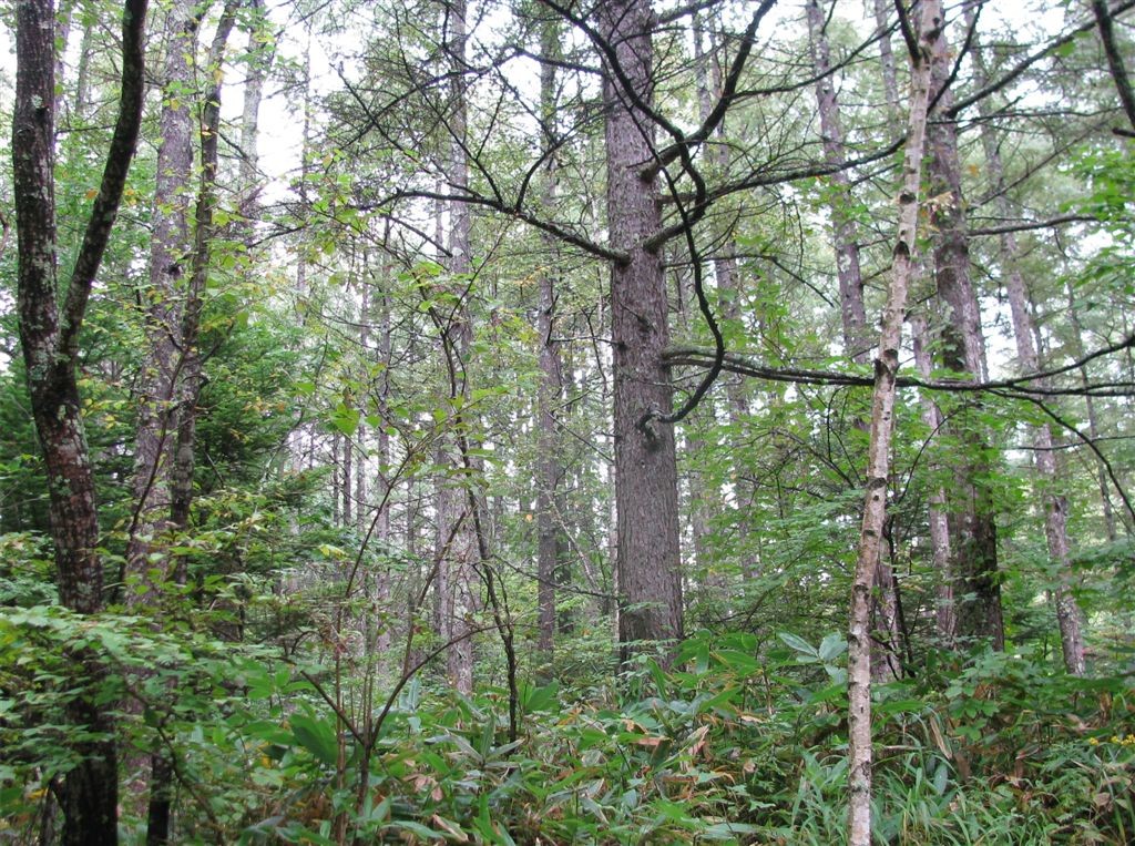 f0151044_6242795.jpg