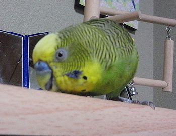 f0196665_07072.jpg
