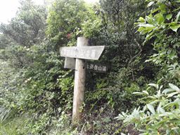 c0042869_211485.jpg
