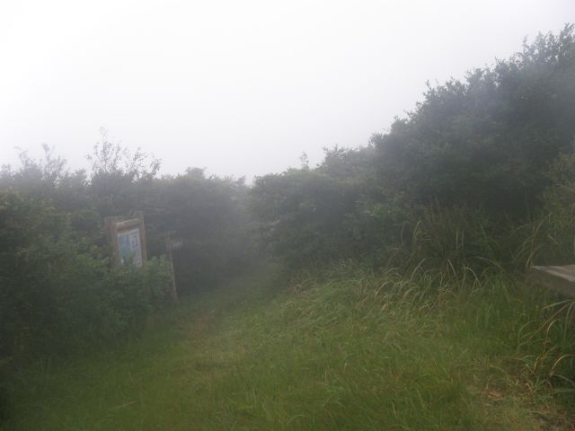 c0042869_21315.jpg