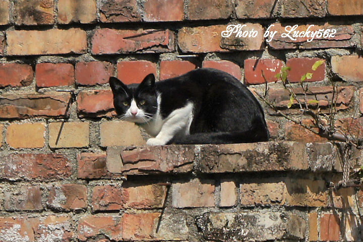 e0002371_813262.jpg