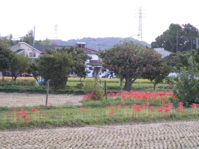c0112172_130439.jpg