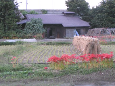 c0112172_1305867.jpg