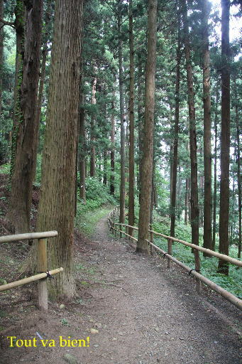 e0165577_1203416.jpg