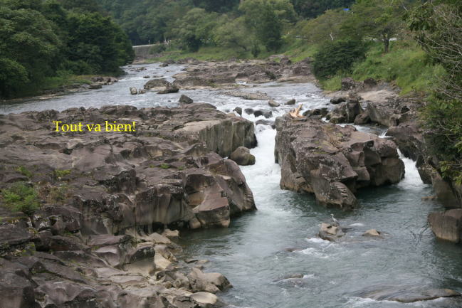 e0165577_1262230.jpg