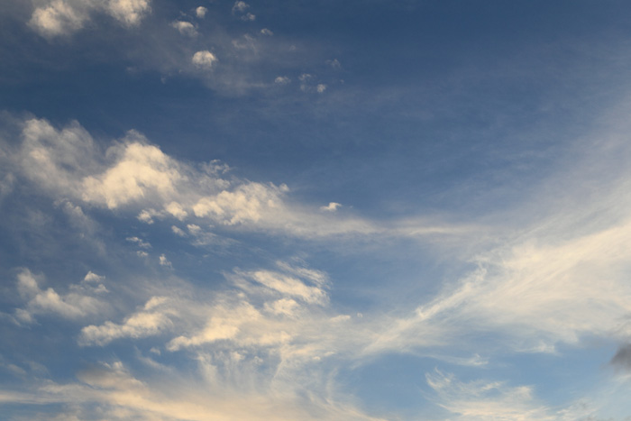 c0008378_2253524.jpg