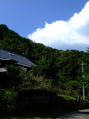 a0105480_16535114.jpg