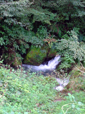 a0105480_16574656.jpg