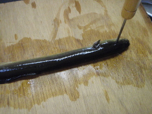 c0146788_14411565.jpg