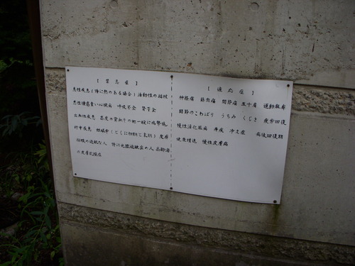 d0174489_1930269.jpg