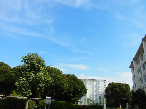 c0002390_21395164.jpg
