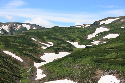 b0208194_11491356.jpg