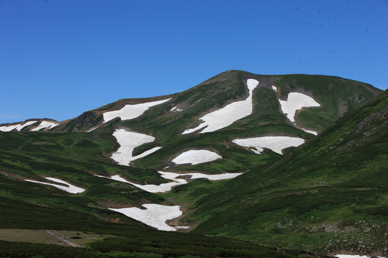 b0208194_11495226.jpg