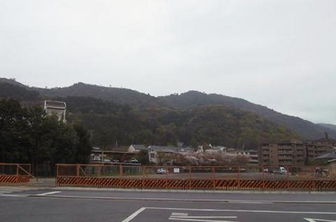 d0053294_76418.jpg