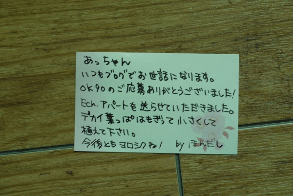 c0225297_6574345.jpg