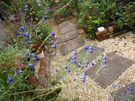 f0178897_7173547.jpg