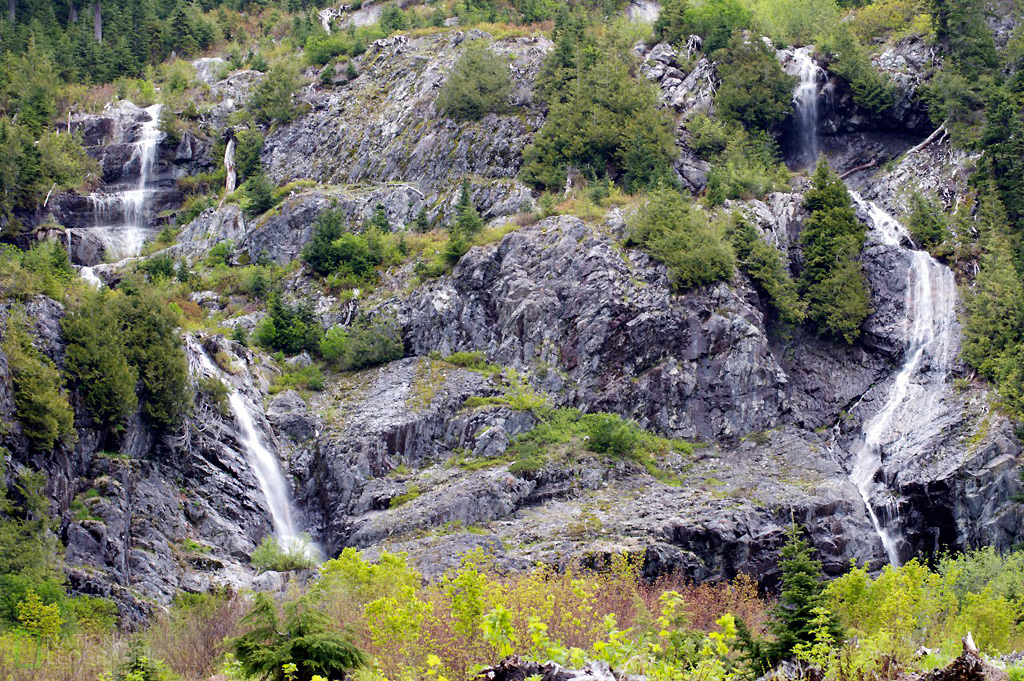 c0080101_915946.jpg