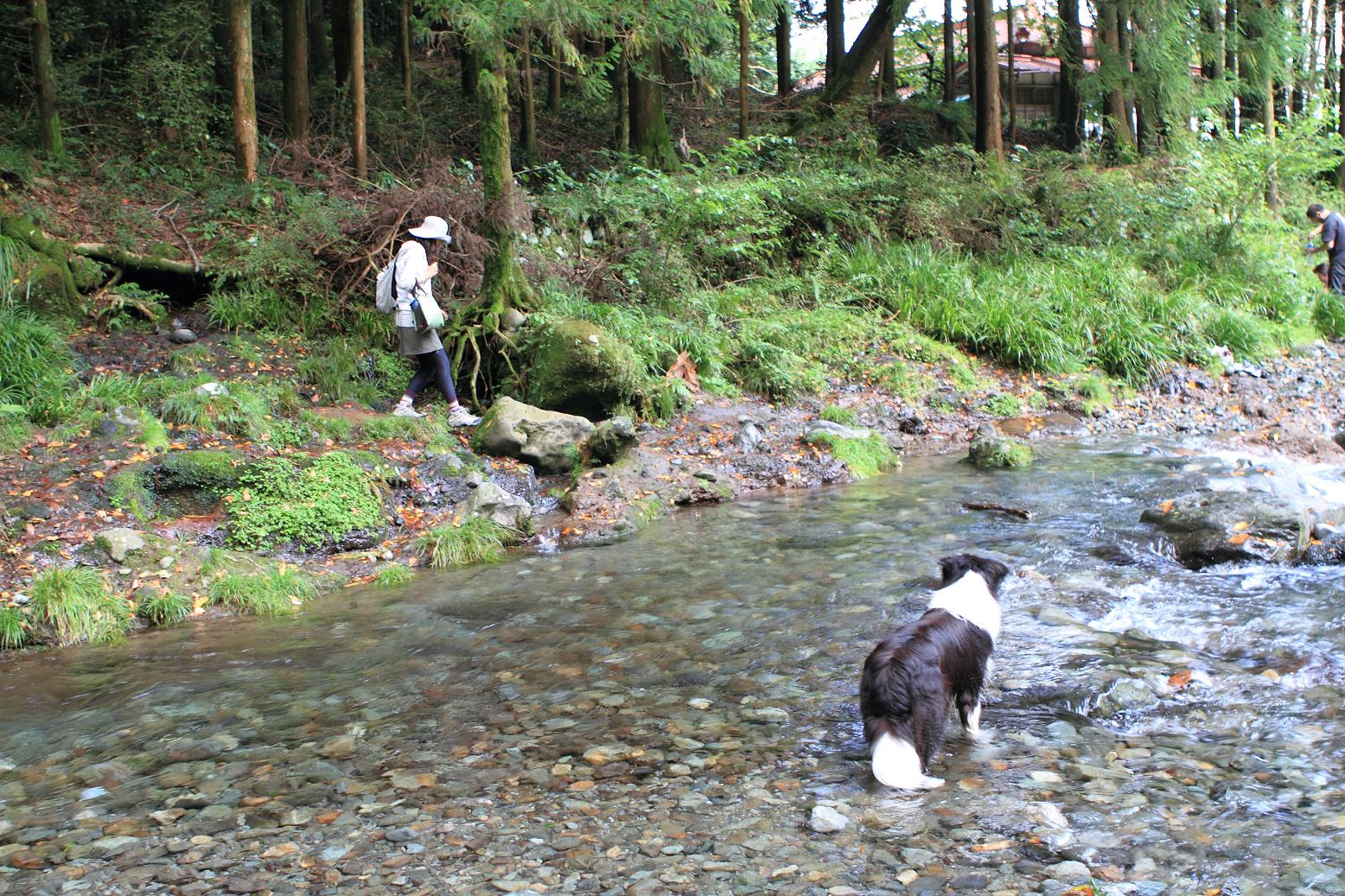 f0034602_1112962.jpg