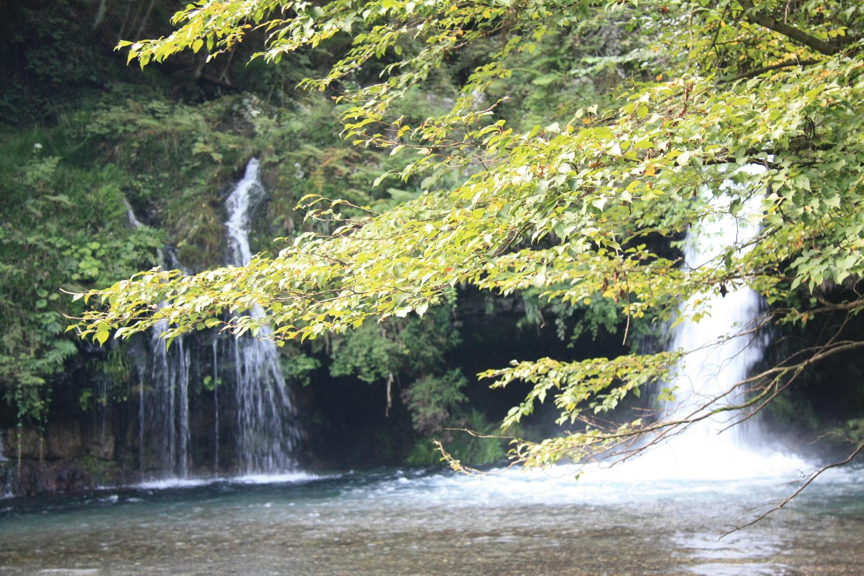 f0034602_1173338.jpg