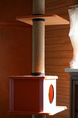 c0187403_1694633.jpg