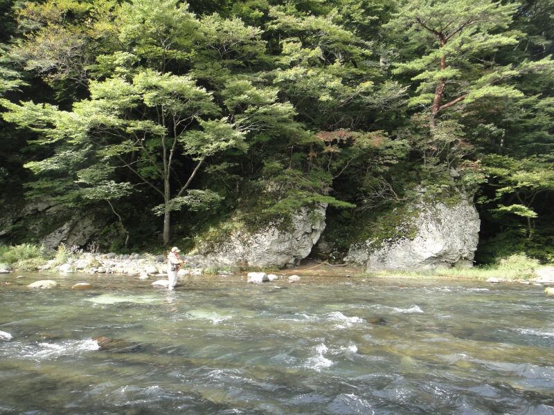b0172805_150649.jpg