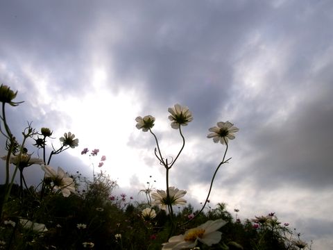 e0117805_93768.jpg