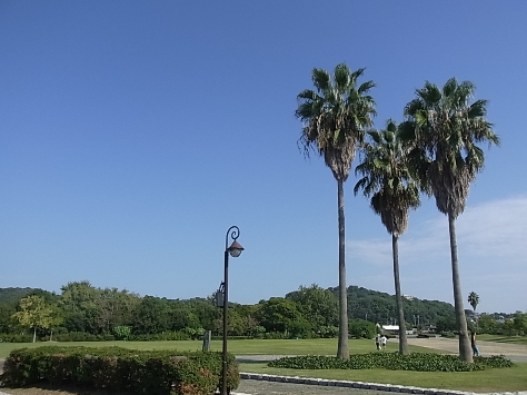 c0205806_19105960.jpg