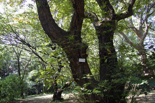 d0015006_1185034.jpg