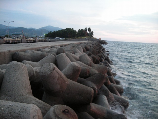 a0142107_10442274.jpg