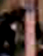 e0103408_12481985.gif