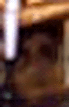 e0103408_1250267.gif