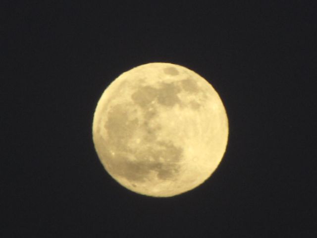 f0198909_2284090.jpg