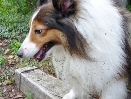 e0078510_22322588.jpg