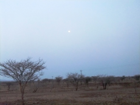 d0007913_17472067.jpg