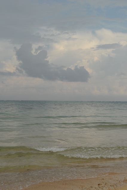 b0166314_11244197.jpg