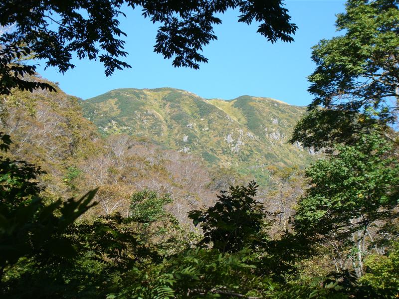 a0127015_20491218.jpg