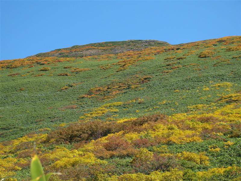 a0127015_20565723.jpg