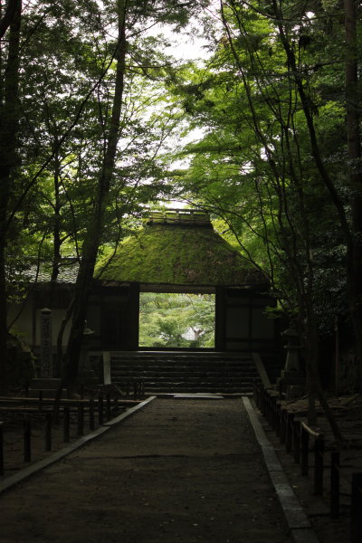 d0072318_19432318.jpg