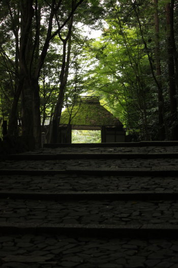 d0072318_1956558.jpg