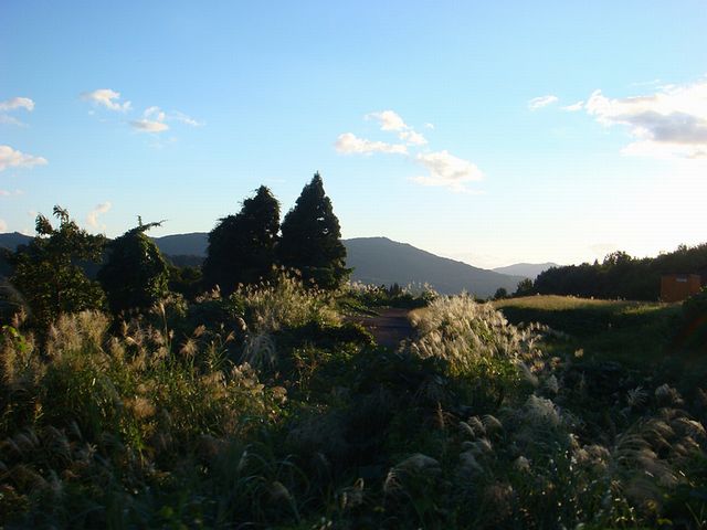 c0219220_10223861.jpg