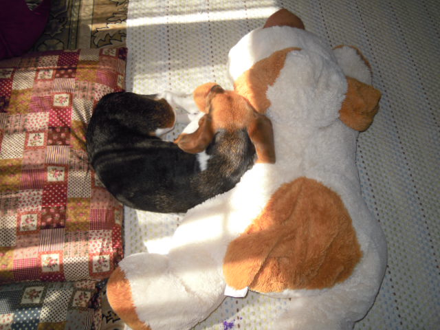 c0166622_10211522.jpg