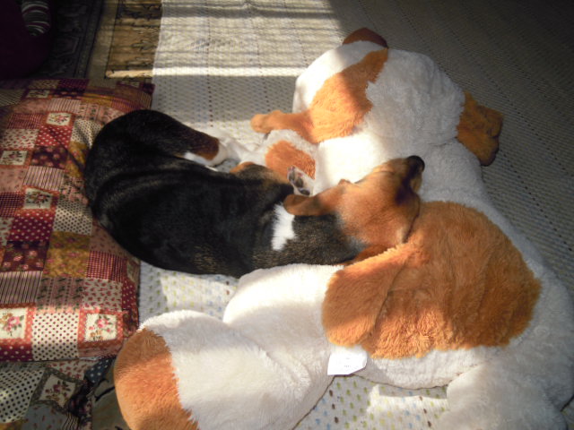 c0166622_10212331.jpg